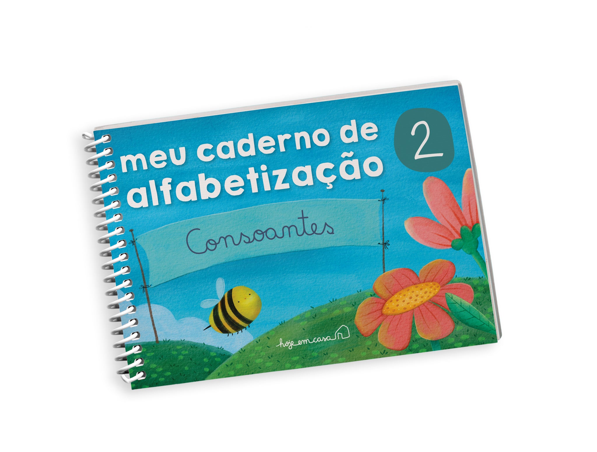 Meu caderno de alfabetização: volume 2