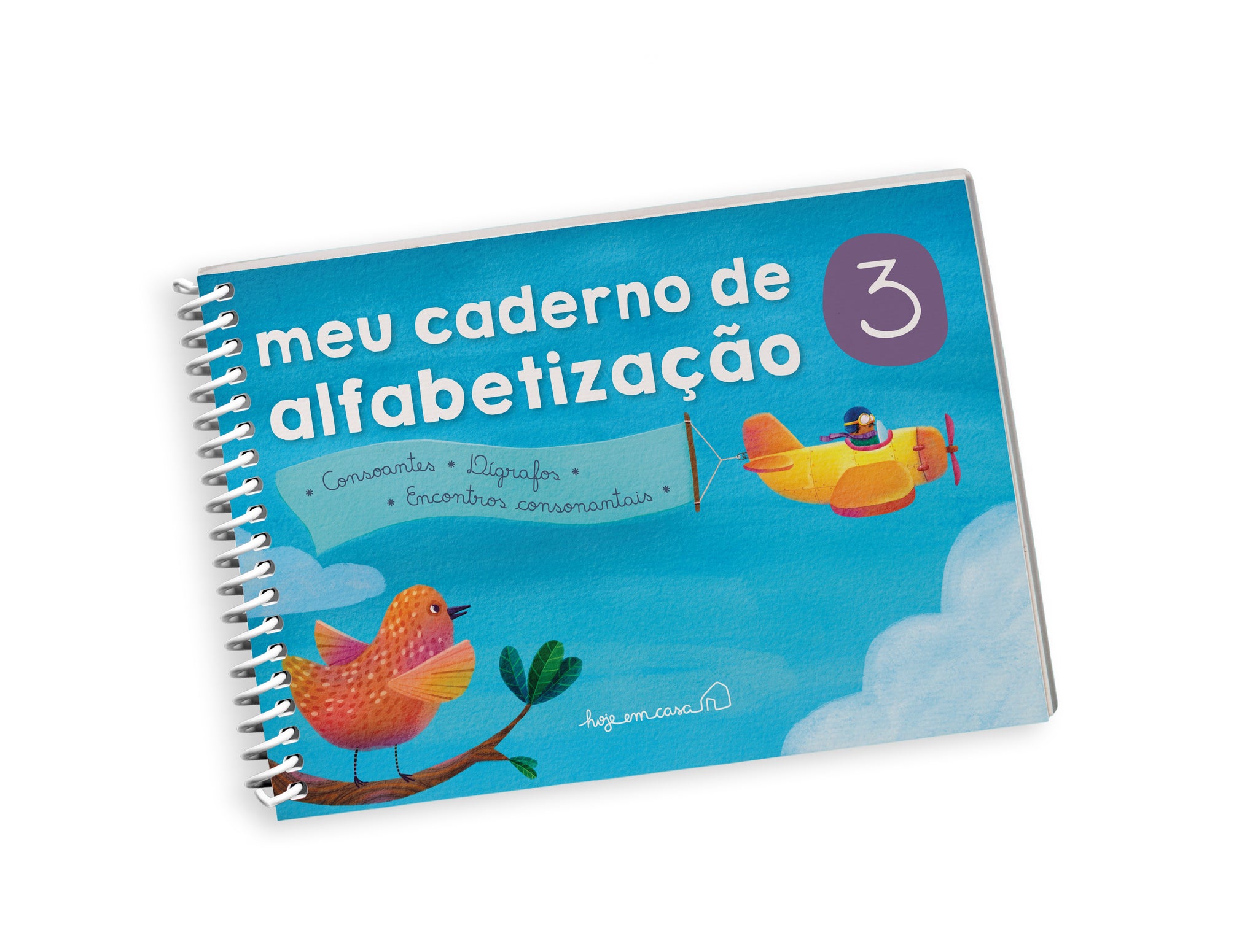 Meu caderno de alfabetização: volume 3