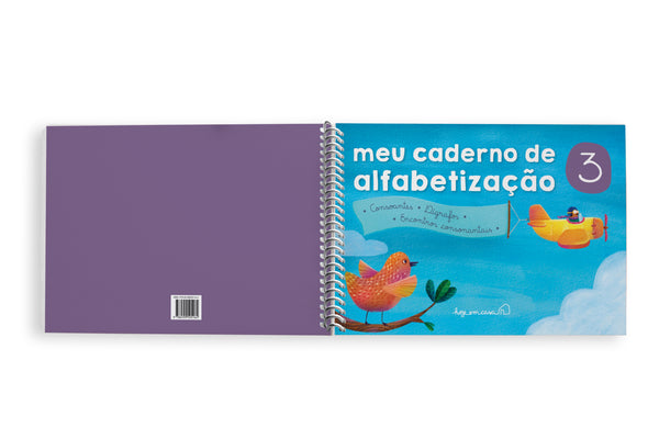 Meu caderno de alfabetização: volume 3